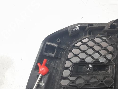 Grille FORD RANGER (TKE)  | BP30263960C40 