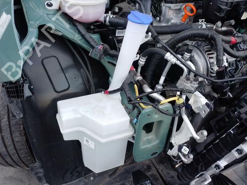 Used Windscreen washer tank HYUNDAI i20 III (BC3, BI3) 1.0 T-GDI (101 hp) 31665784