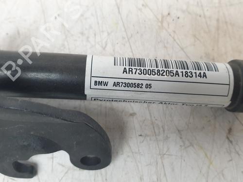 Electronic module BMW X1 (F48) sDrive 18 d | BP29434120M83 
