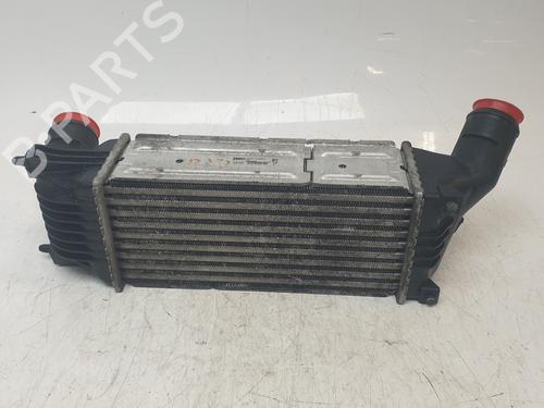 Intercooler PEUGEOT 407 (6D_) 2.0 HDi 135 (6DRHRH, 6DRHRE, 6DRHRG, 6DRHRJ) | BP29604427M30 