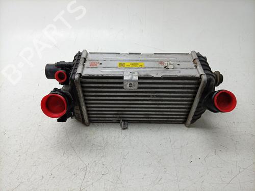 Used Intercooler Intercooler HYUNDAI i20 III (BC3, BI3) 1.0 T-GDI (101 hp) 40009775 40009775