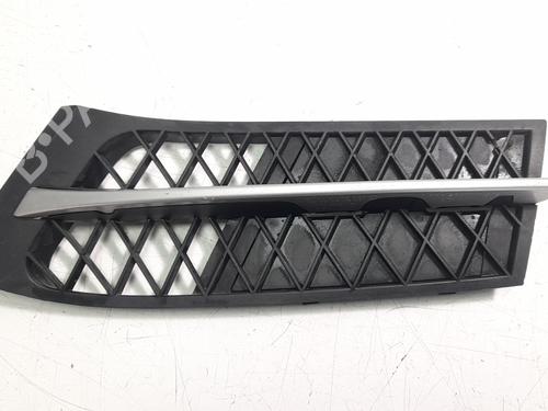 Front grille BMW X5 (E70) xDrive 30 d (235 hp) 51117200735 |