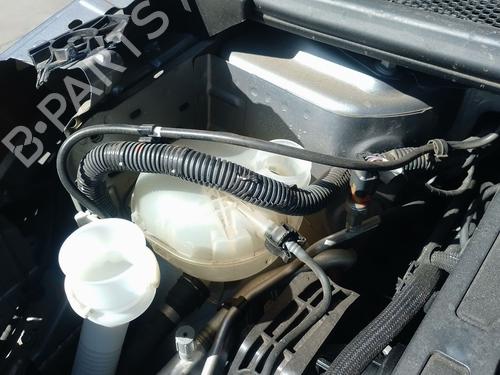 Used Expansion tank Expansion tank PEUGEOT 2008 II (UD_, US_, UY_, UJ_, UR_, UC_) e-2008 (UKZKXZ) (136 hp) 39695871 39695871