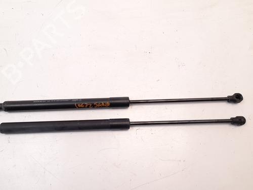 Used Tailgate lift support DACIA SANDERO II TCe 90 (B8M1, B8MA, B8AC) (90 hp) 14197384