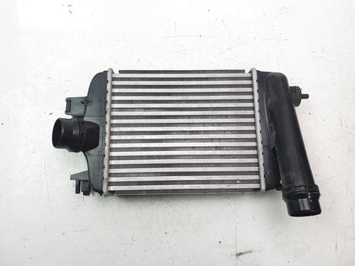Used Intercooler NISSAN JUKE (F16_) DIG-T 117 (117 hp) 29708148