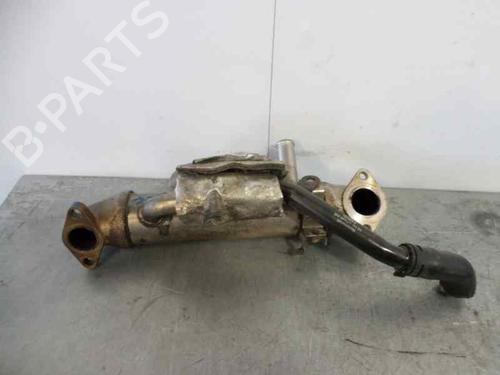 Egr FORD MONDEO III Saloon (B4Y)  | BP14204421M69 