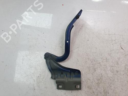Hinge/Door check strap RENAULT MEGANE IV Hatchback (B9A/M/N_) 1.3 TCe 140 (B9NB) | BP29909708C146 