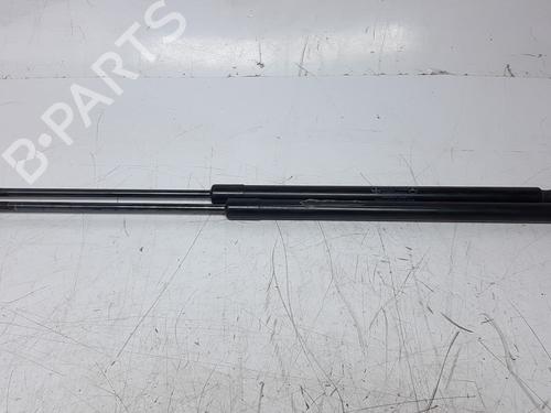 Used Tailgate lift support MERCEDES-BENZ VITO / MIXTO Van (W639) 113 CDI (639.601, 639.603, 639.605) (136 hp) 14203162