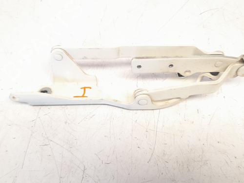 Used Hinge/Door check strap FIAT 500 (312_) 1.2 (312AXA1A) (69 hp) 17960399