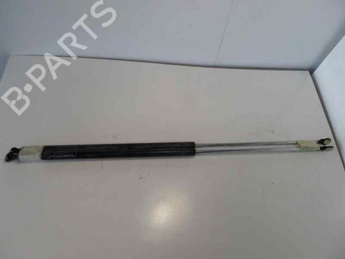 Used Tailgate lift support HYUNDAI COUPE I (RD) [1996-2004]  14204748