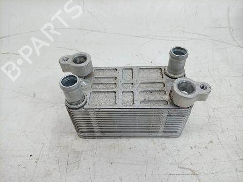 Heater matrix RENAULT 4 E-Tech 120 | BP37152596M63 - Image 4