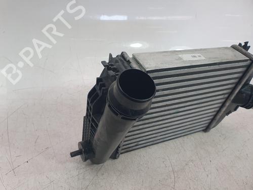 Intercooler NISSAN JUKE (F16_) DIG-T 117 | BP33203452M30 - Image 3