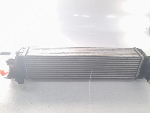Intercooler BMW 2 Active Tourer (F45) | BP31169198M30