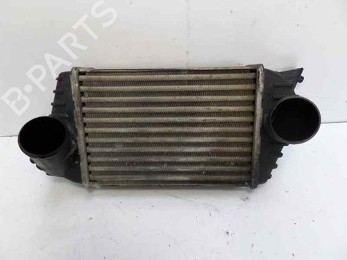 Intercooler FIAT STILO Multi Wagon (192_) 1.9 JTD (140 hp) 170237