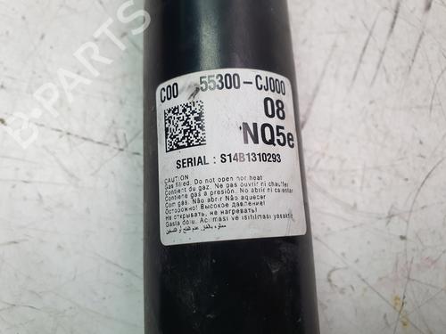 Right rear shock absorber KIA SPORTAGE V (NQ5) 1.6 T-GDI MHEV | BP29954088M19