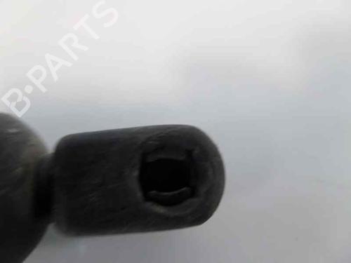 Tailgate lift support SEAT ALHAMBRA (7V8, 7V9)  | BP14204746C138 