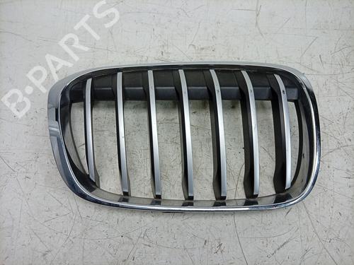 Used Grille Grille 38985047 38985047