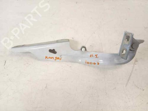 Used Hinge/Door check strap RENAULT KANGOO / GRAND KANGOO II (KW0/1_) 1.5 dCi 90 (KW05, KW08, KW0G, KW11) (90 hp) 14207845