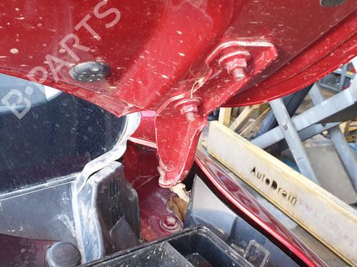Hinge/Door check strap MG MG ZS SUV (AZS1)  | BP29453058C146 