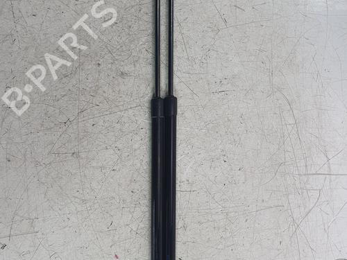 tailgate-lift-support-nissan-juke-f16_-2019-32868089 main image