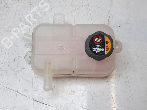 Expansion tank HYUNDAI TUCSON (NX4E, NX4A) 1.6 T-GDi Hybrid (179 hp) 16056428