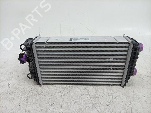 Intercooler Intercooler PEUGEOT 208 II (UB_, UP_, UW_, UJ_) Hybrid 110 (110 hp) 38486556 38486556