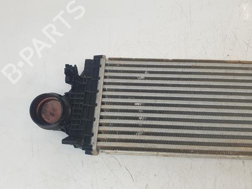 Intercooler FORD FOCUS IV (HN) 1.0 EcoBoost mHEV | BP29394059M30 