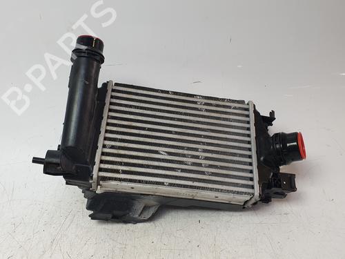 Intercooler DACIA DUSTER (PYM_, PYN_) [2023-2026]  32338380