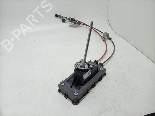 Gearstang Gearstang 34194625 34194625