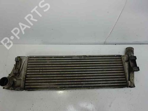 Used Intercooler RENAULT MEGANE II Saloon (LM0/1_) 1.9 dCi (LM0G, LM1G, LM2C) (120 hp) 249476
