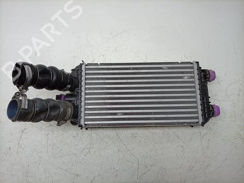 Intercooler Intercooler CITROËN C4 III (BA_, BB_, BC_) 1.2 PureTech 130 (BAHNSA, BAHNSB) (130 hp) 37602526 37602526
