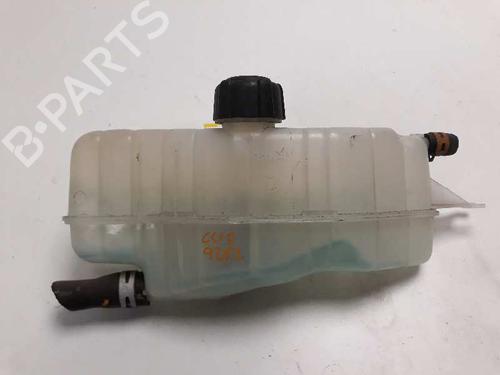 Expansion tank RENAULT CLIO III (BR0/1, CR0/1) 1.5 dCi 7701477290 | 485110