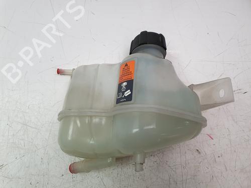 expansion-tank-nissan-qashqai-ii-j11-j11_-2013-24968685 main image