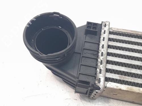 Intercooler MERCEDES-BENZ A-CLASS (W169) A 180 CDI (169.007, 169.307) | BP19447884M30 