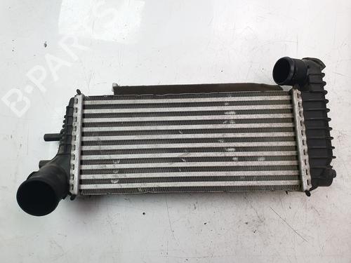 Intercooler FORD KUGA II (DM2) [2012-2025]  21808016