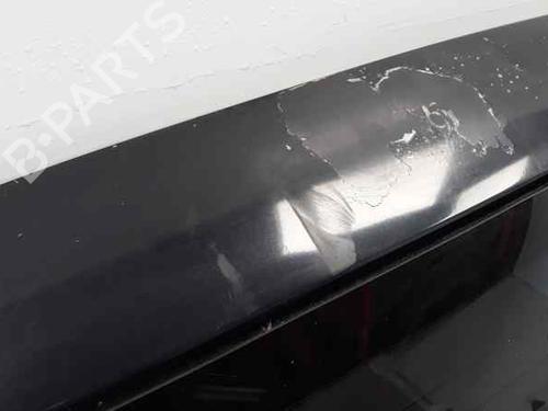 Tailgate MERCEDES-BENZ M-CLASS (W163) ML 270 CDI (163.113) | BP4678817C6 