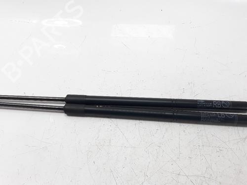Used Tailgate lift support LEXUS NX (_Z1_) 300h (AYZ10_, AYZ10R) (197 hp) 14202254