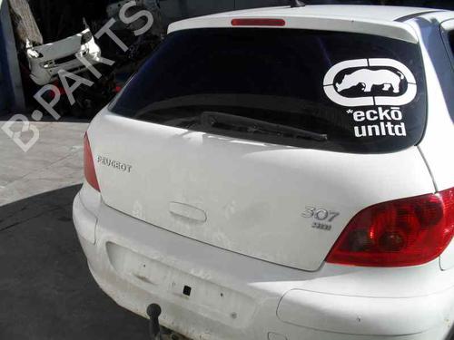 Rear left lock PEUGEOT 307 (3A/C)  | BP439841C100 