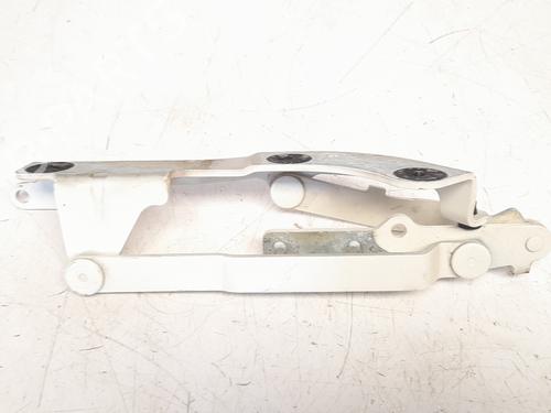 Hinge/Door check strap FIAT 500 (312_) 1.2 (312AXA1A) | BP17960399C146 