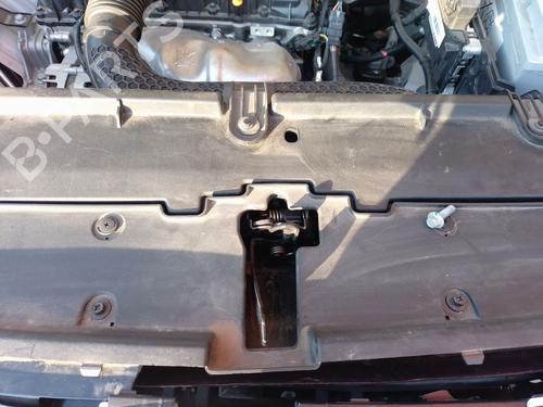 hood-lock-mg-mg-zs-suv-azs1-2017-33691732 main image