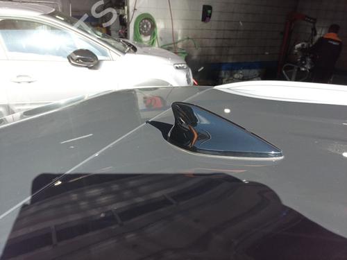 Antenne/Base KIA SPORTAGE V (NQ5) [2021-2025]  24807738