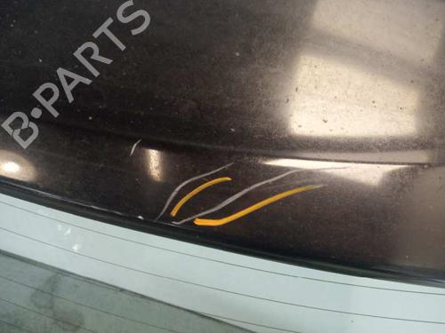 Tailgate RENAULT KOLEOS I (HY_)  | BP328425C6 