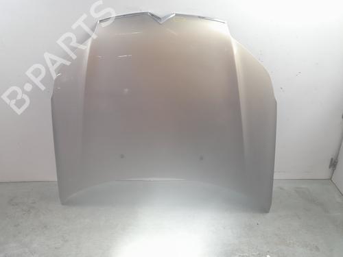 hood-citroen-c5-iii-rd_-2008-2009-2010-2011-2012-2013-2014-2015-2016-2017-34189666 main image