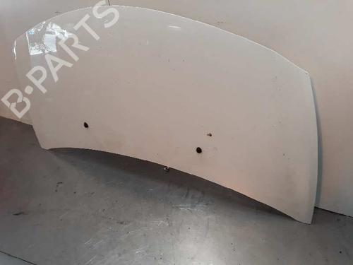 Hood RENAULT CLIO III (BR0/1, CR0/1)  | BP1927903C1 