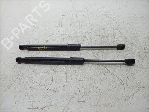 hood-lift-support-tesla-model-3-5yj3-2017-24978688 main image