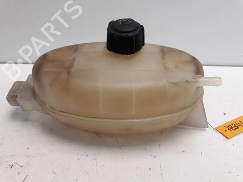 Used Expansion tank NISSAN PRIMASTAR Van (X83) [2002-2025]  2001578