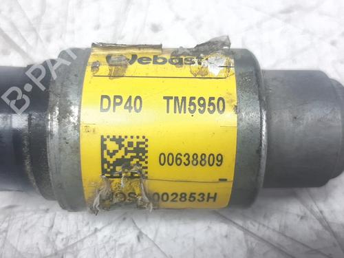 Fuel pump SEAT ALHAMBRA (710, 711) 1.4 TSI | BP17919600M76 
