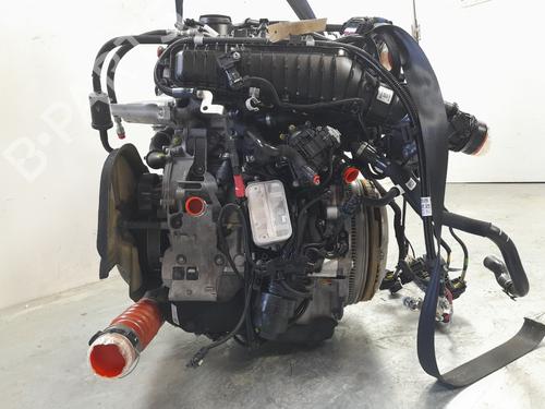 Used Engine BMW 1 (F40) 118 i (136 hp) 29239431