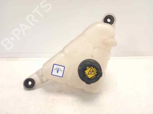 BP6480126C120 | Expansion tank ALFA ROMEO STELVIO (949_) 2.0 Q4 (949.AXF2A) BP6480126C120