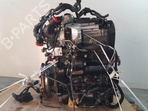 Engine AUDI A4 B9 Avant (8W5, 8WD) 2.0 TDI | BP33843966M1 - Image 6